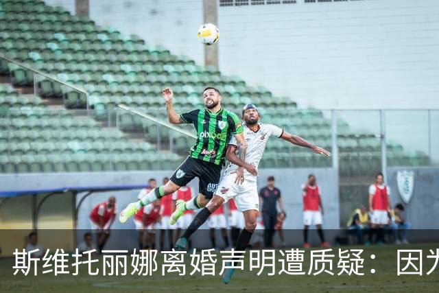 斯维托丽娜离婚声明遭质疑:因为战争就要离婚?别打球了去打仗吧