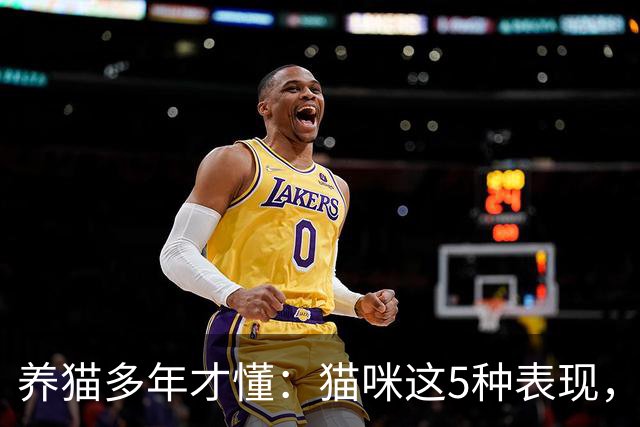 养猫多年才懂:猫咪这5种表现,不是撒娇,是旺家的征兆